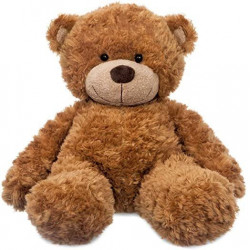 Ours peluche